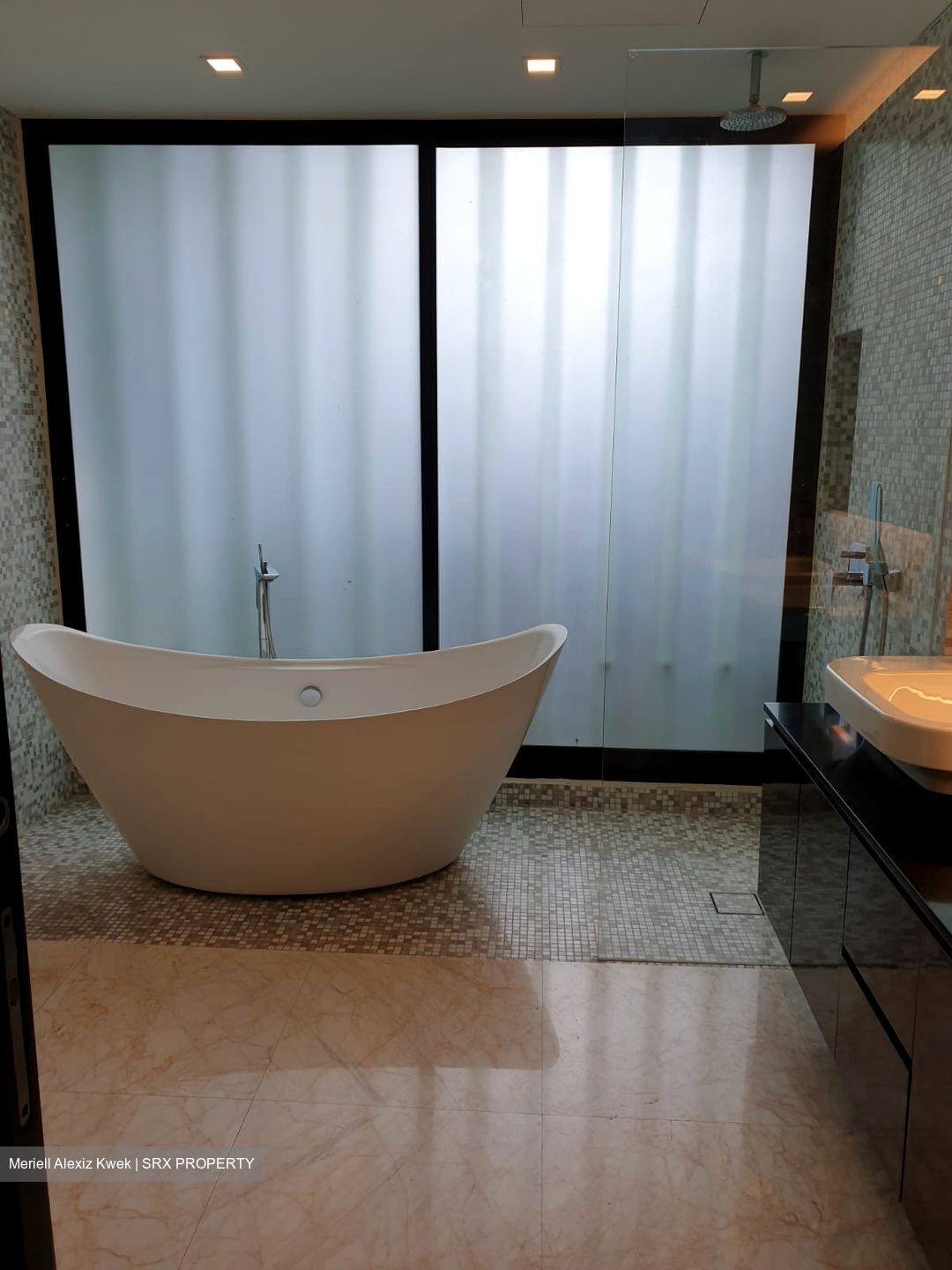 Oei Tiong Ham Park Residences (D10), Apartment #384229571
